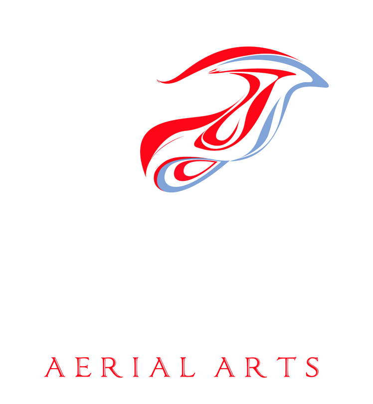 Sora Aerial Arts inverse logo