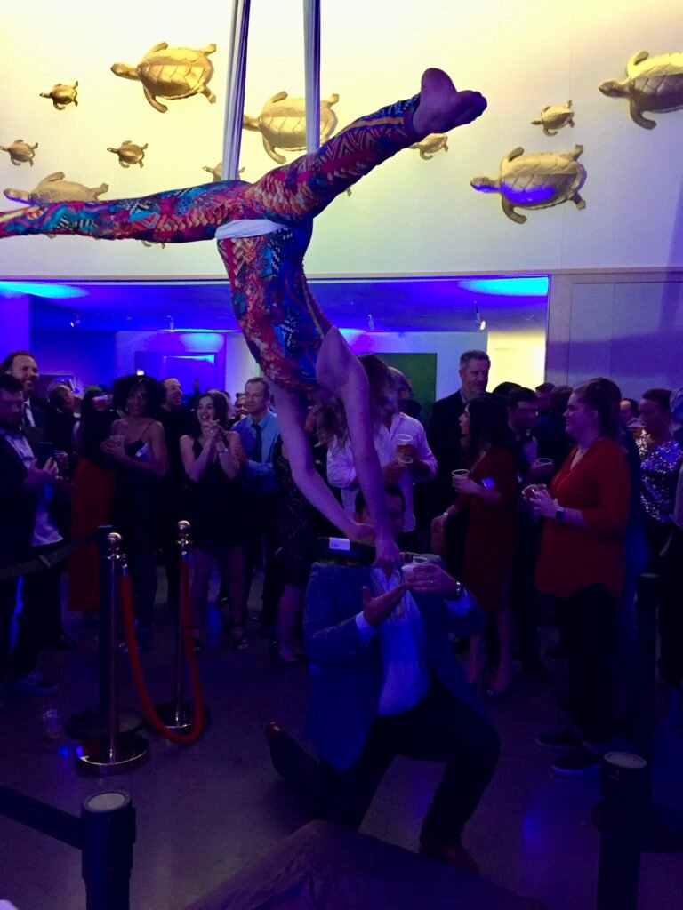 AerialBartending2 (1)