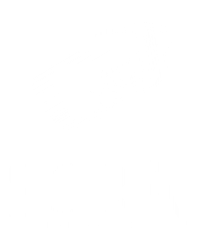 sora circus logo white