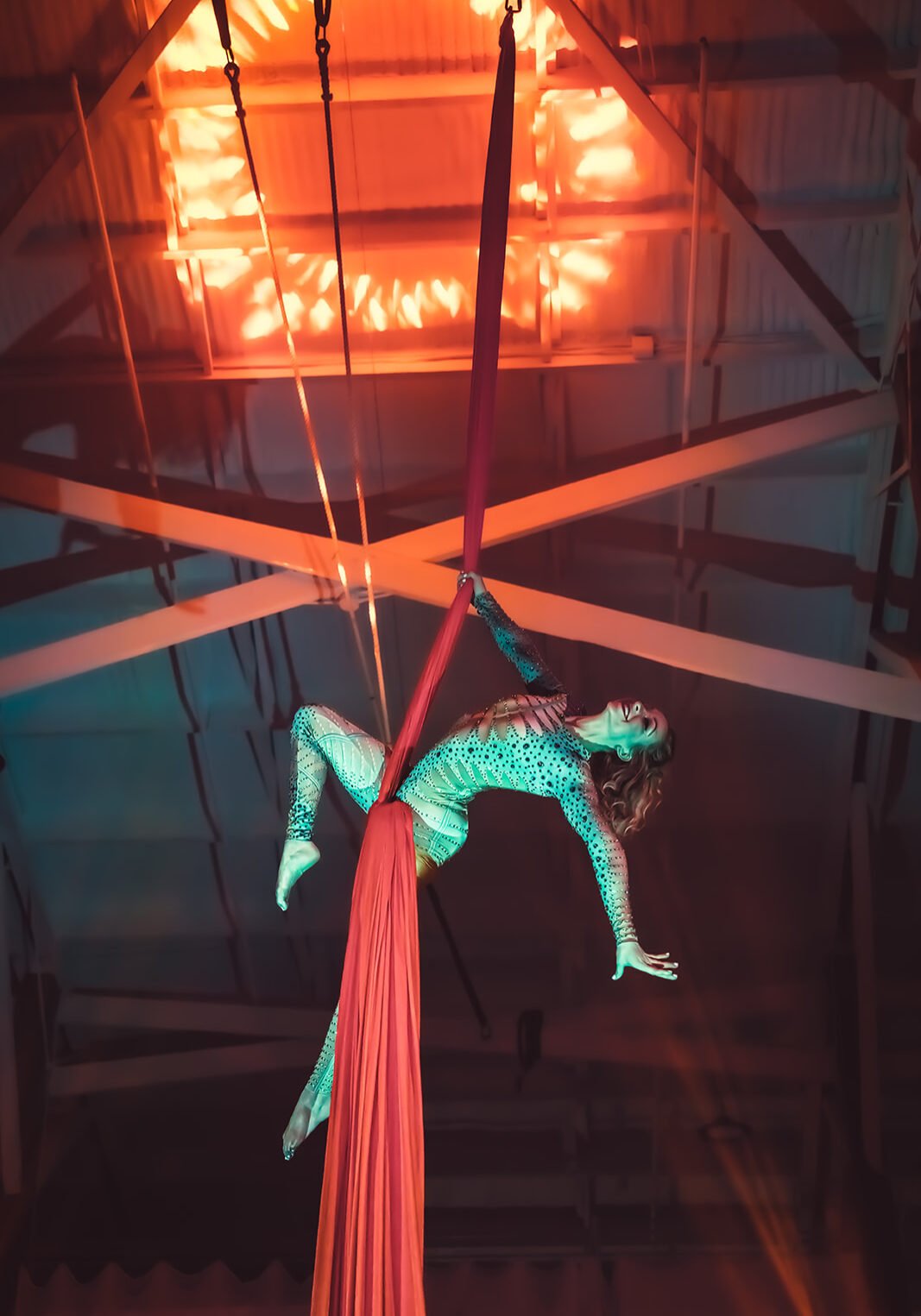 Vita Volare