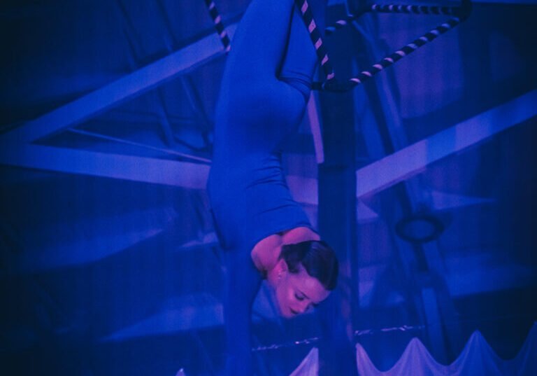 Vita Volare '24